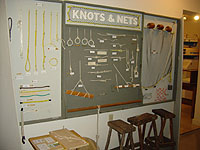 Knots and nets
                                                  Display